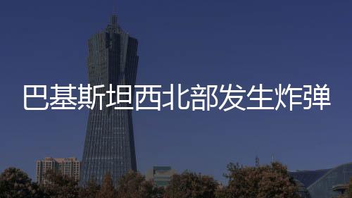 巴基部缴获大量武器弹药