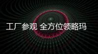 快排公司十年历程，霸屏兔 seo 的崛起与坚守