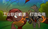 快排公司十年历程，霸屏兔 seo 的崛起与坚守