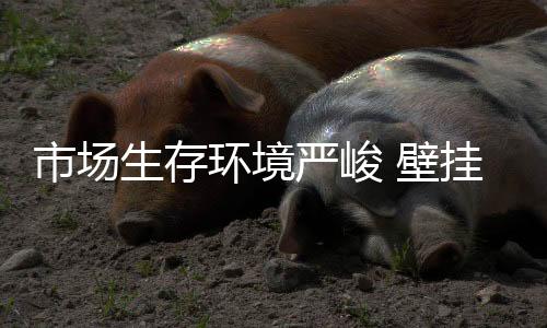 壁挂炉市场环境越发严峻