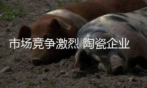 个性化色彩的竞争激烈承载