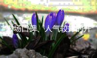 市场口碑	�、人气较好的开关插座品牌有哪些?