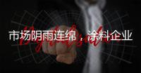 市场阴雨连绵
，涂料企业升级转型“拥抱太阳”