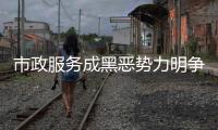 快排公司十年历程，霸屏兔 seo 的崛起与坚守