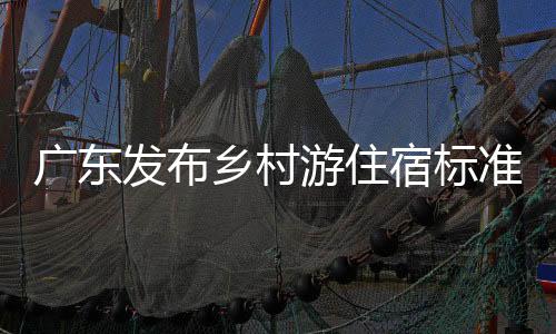 发布同时要主动传播乡村文化