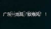 广东一地现“蚊卷风”
！网友：头皮发麻