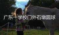 广东一学校门外石墩圆球加设钢管护栏，网友质疑多此一举，学校回应：是出于安全考虑
�，加装为防车辆撞击