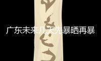 快排公司十年历程，霸屏兔 seo 的崛起与坚守