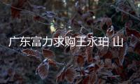 快排公司十年历程，霸屏兔 seo 的崛起与坚守