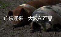 广东迎来一大波AI产品扎堆上新：8个大模型	，30个应用场景……