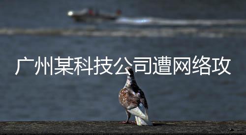 广州攻击广泛搜寻攻击目标