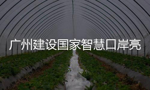 智慧激光和视觉导航定位技术