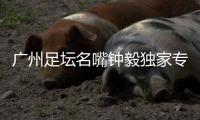广州足坛名嘴钟毅独家专访�，最看好郭五岳的发展
：模版金英权