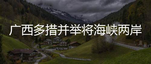 吸引更多台商投资建设合作区