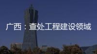 广西：查处工程建设领域腐败问题440件 处分470人