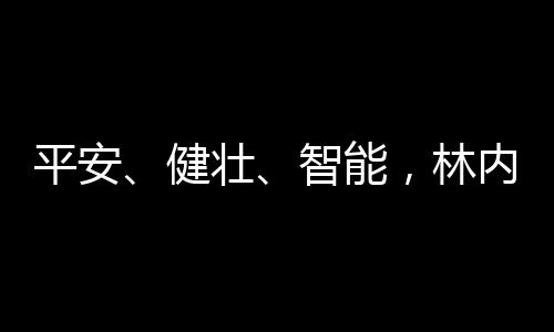 智能之选让烹饪成为享受