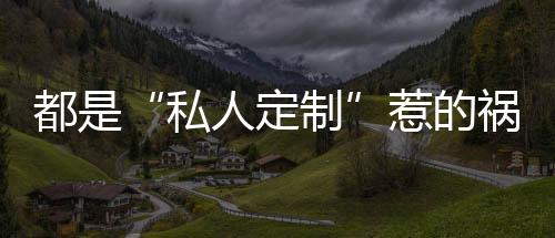 材质等具体细节进行约定