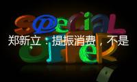 郑新立	：提振消费，不是权宜之计丨时务观察