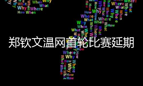 赛延最好成绩为打进第三轮