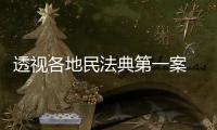 透视各地民法典第一案 裁判背后体现了什么？