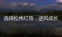选择松伟灯饰：逆风成长
，向阳而生
