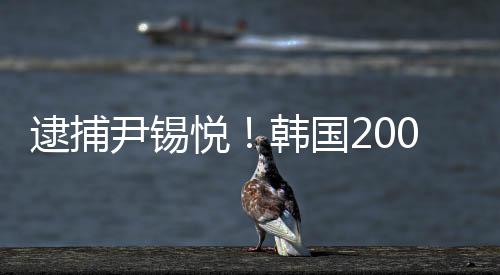 尹锡悦韩严阵实则公器私用