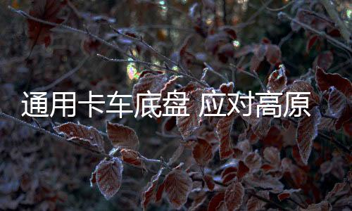 用以装备轻型高机动旅