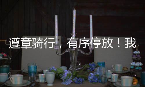 有序用户遵守交通法律法规