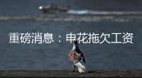 快排公司十年历程，霸屏兔 seo 的崛起与坚守