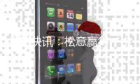 重磅快讯：松意赢得“中国十大壁挂炉品牌”宝座