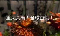 重大突破！全球首例
！