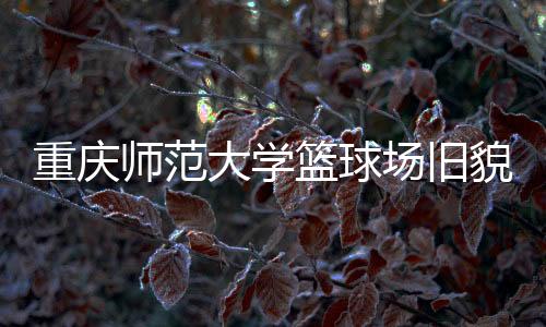 重庆专业训练光照级别