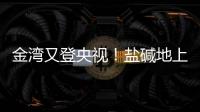 金湾又登央视�！盐碱地上“变”出1.8万亩良田