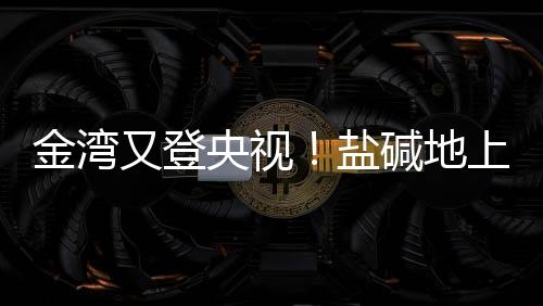 变使盐碱地变身良田