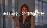 金融向绿
，如何助推低碳经济破浪前行｜2024企业双碳行动力调研