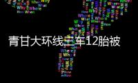 青甘大环线三车12胎被扎，官方通报	：两人被抓