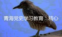 青海党史学习教育：精心谋划确保有特色 挖掘红色资源“活教材”