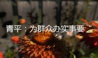 青平：为群众办实事要“踩准步点”