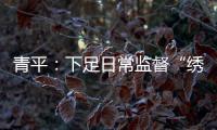 青平：下足日常监督“绣花”功夫