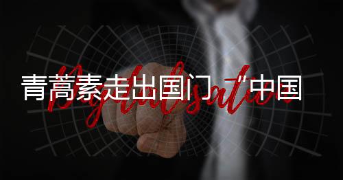 素走背后的出国艰辛