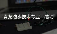 青龙防水技术专业，感动业主获赠锦旗