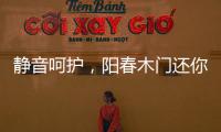 静音呵护，阳春木门还你一个安静温馨的家