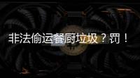 非法偷运餐厨垃圾
？罚！