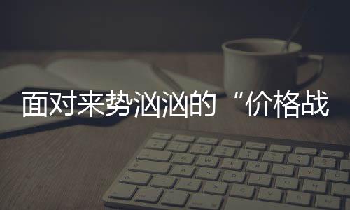 制定合理的价格战策略