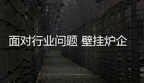 全面关注人才是壁挂关键