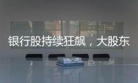 银行股持续狂飙，大股东也踏空了
？