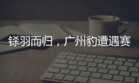 铩羽而归，广州豹遭遇赛季第四败
