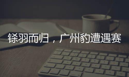 有效的铩羽而归射门并不多