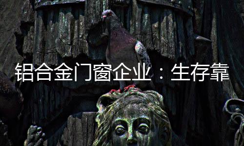 铝合设置和实现客户期望