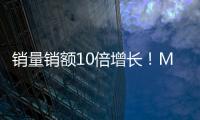 快排公司十年历程，霸屏兔 seo 的崛起与坚守